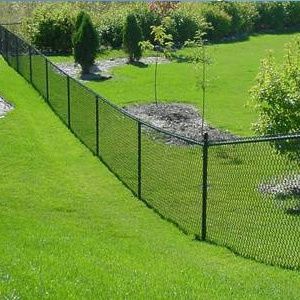 Black chain link fence along a green lawn beside a landscaped yard