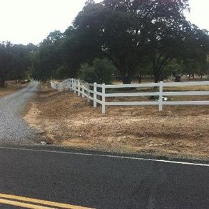 Rural road beside a white fence and large trees on a dry, grassy lot