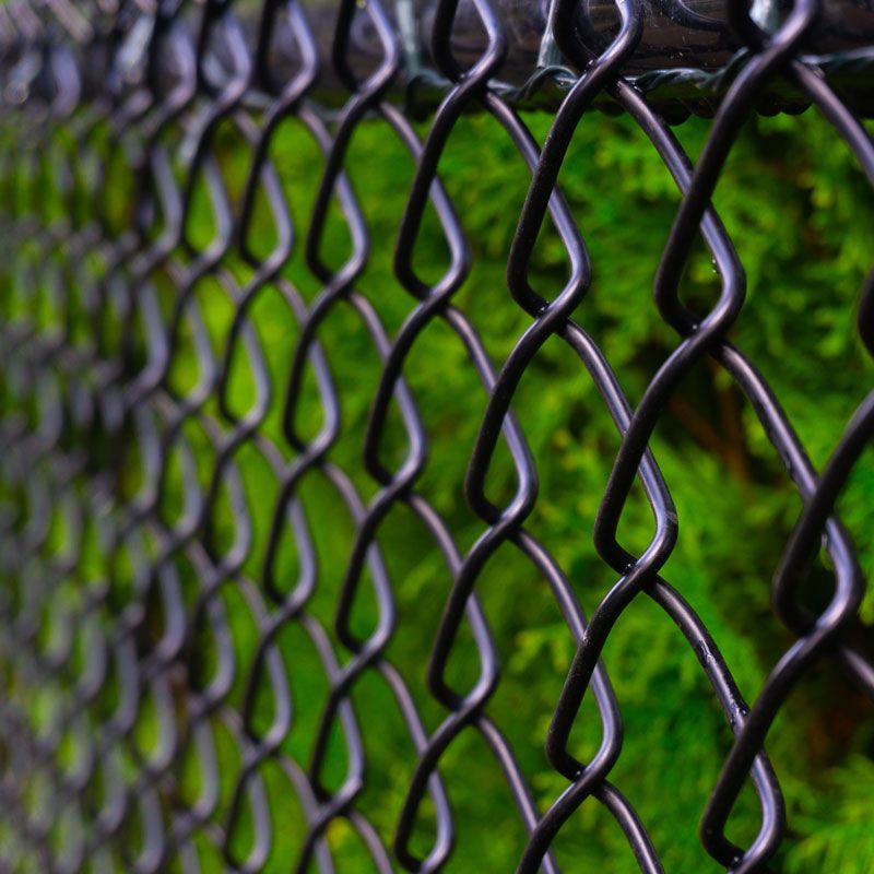 Close-up of a black chain link fence with green foliage blurred in the background