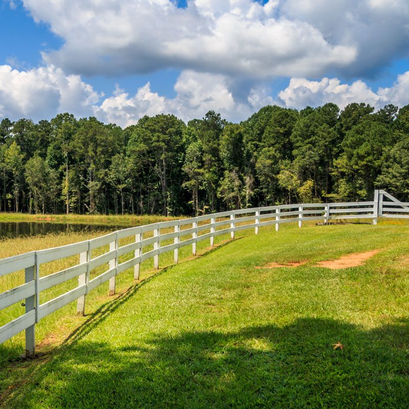 White fence beside green pasture and pond under a cloudy sky, with a forest in the background