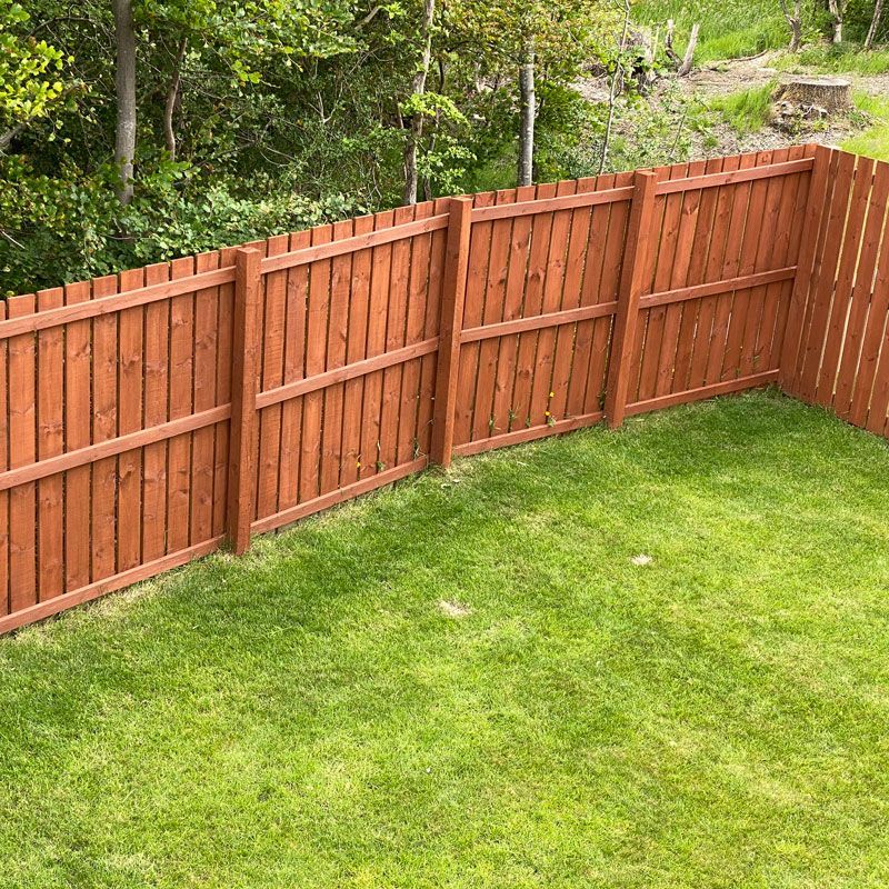 Backyard lawn with a brown wooden fence and green trees beyond it