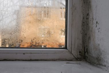 A window with condensation on it and a corner with mold growing on it.
