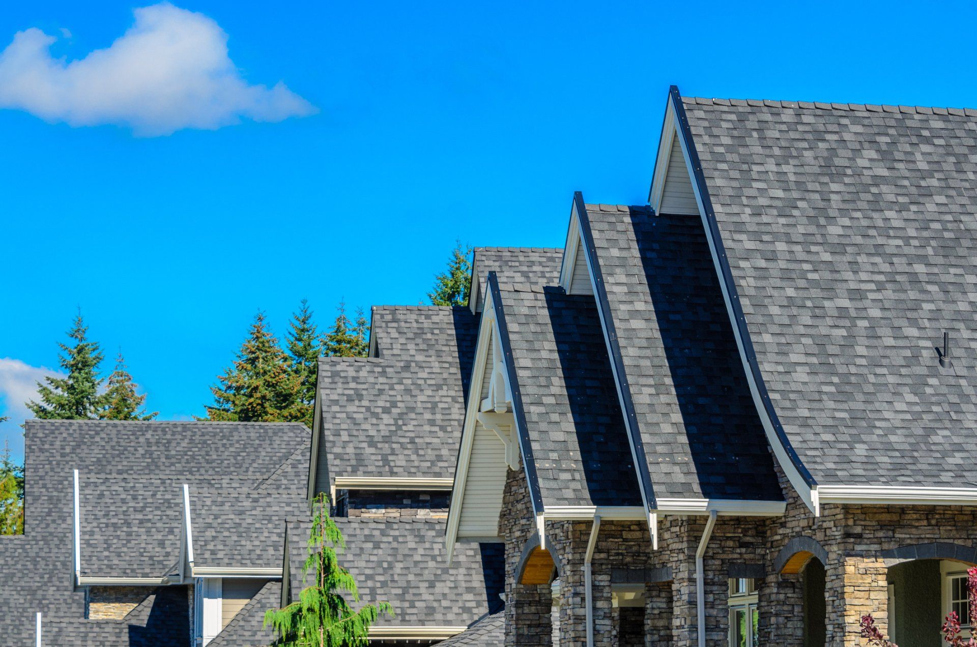 Slate-roofed houses under a bright blue sky, with trees in the background