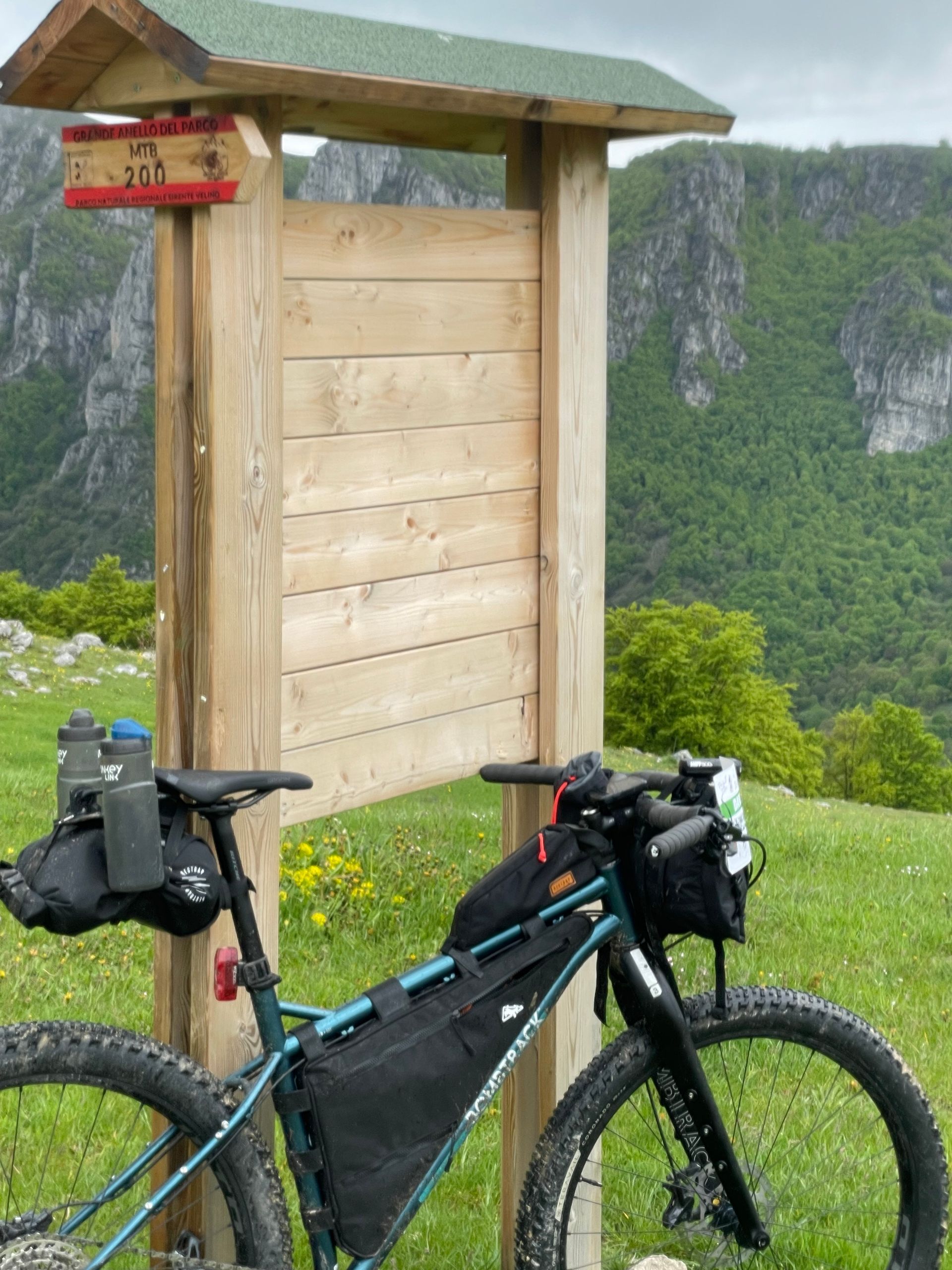 tour organizzato