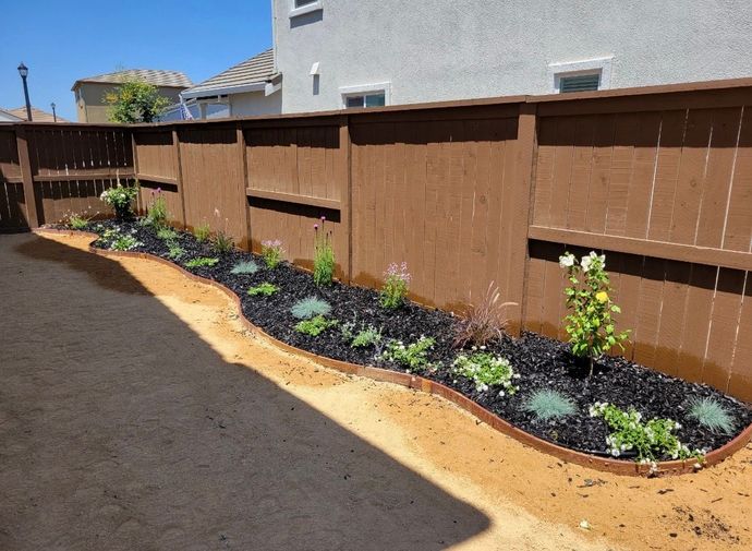 Freshly landscaped side yard with a brown fence, young plants, and dark mulch along a tan border.