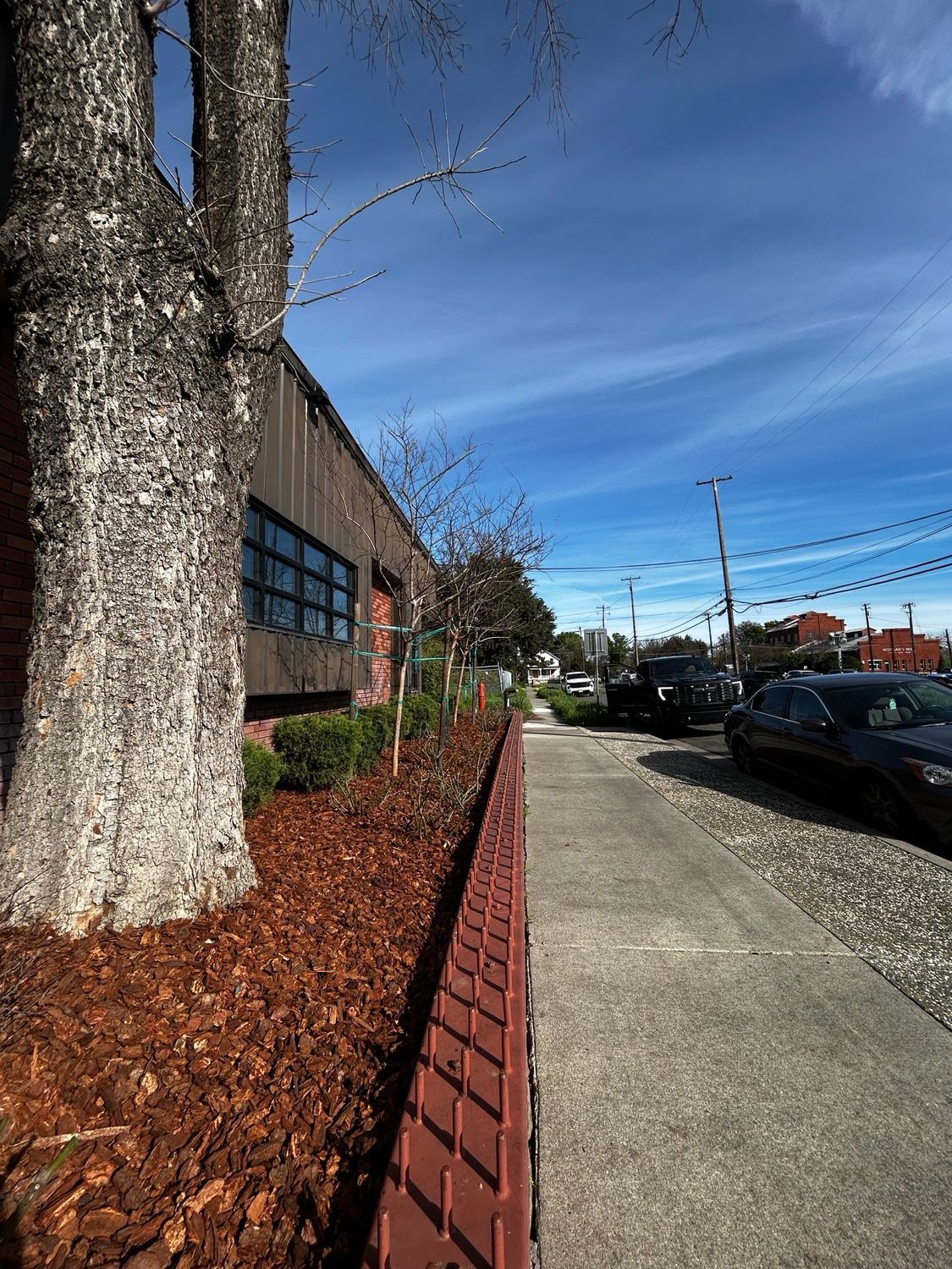 WATER-WISE COMMERCIAL LANDSCAPE