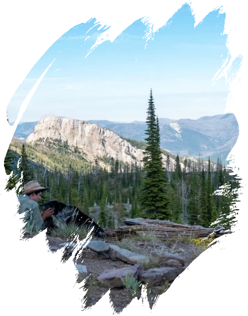 A man and a dog are sitting on a rock in the mountains.