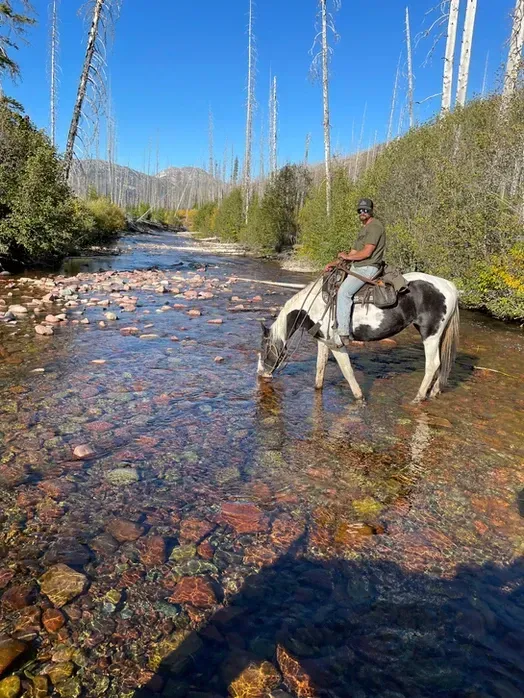 A man is riding a horse through a river.