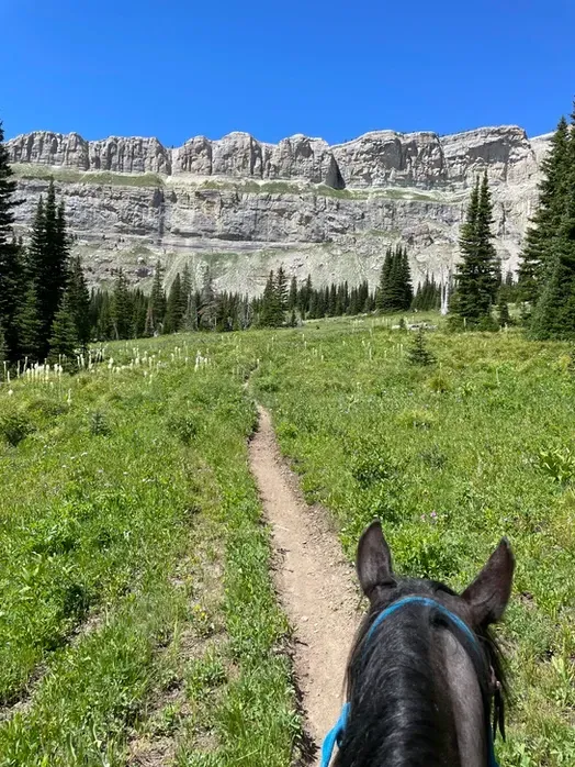 A horse is riding down a dirt path in a field with mountains in the background.
