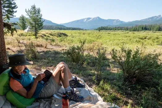 A person is laying on a blanket in a field reading a book.