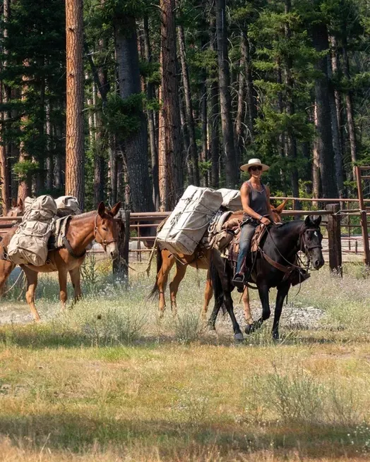 A man is riding on the back of a horse in a field.