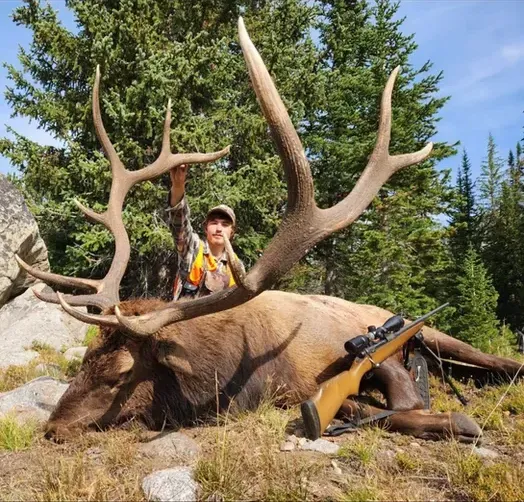 Big Game Hunting