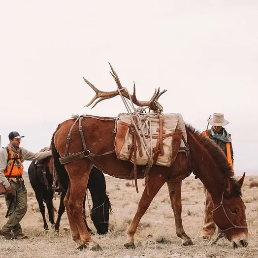 Two men are standing next to a horse with antlers on it