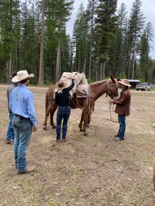 A group of people are standing next to a horse in a field.