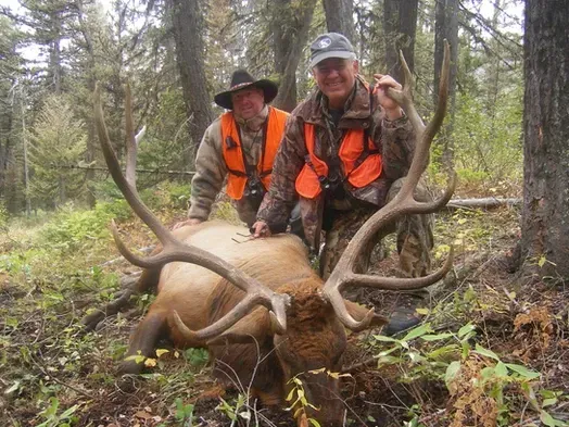 Big Game Hunting