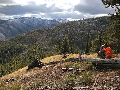 A person is sitting on a log on top of a hill looking at the mountains.