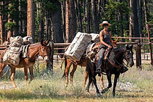 A woman is riding on the back of a horse in a field.