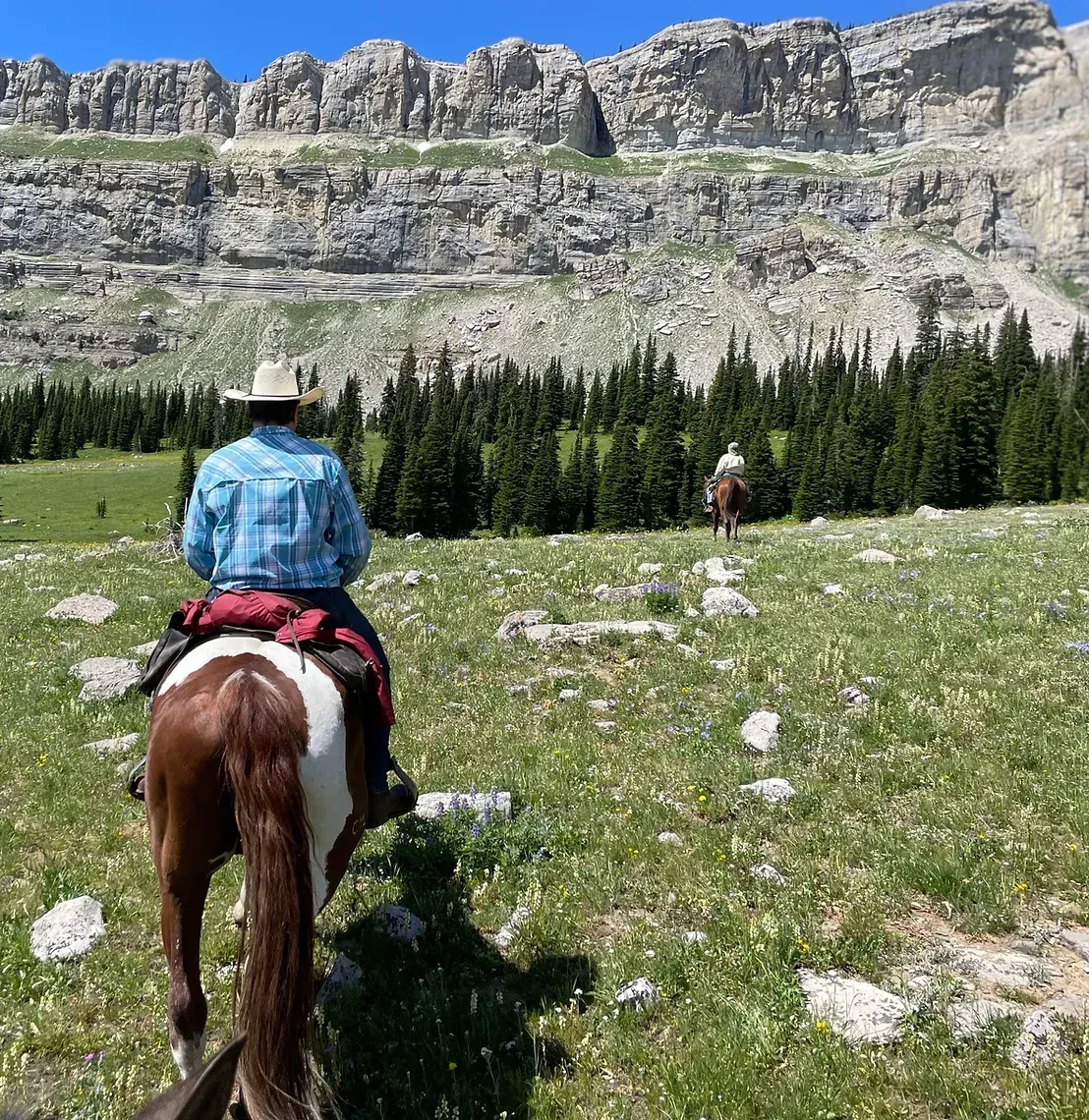 A man is riding a horse in a field with mountains in the background.