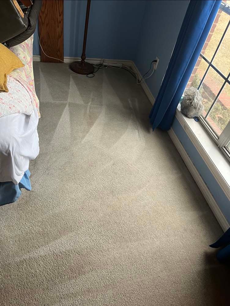 Beige carpet in a room with blue walls and a window, showing vacuum cleaning patterns.
