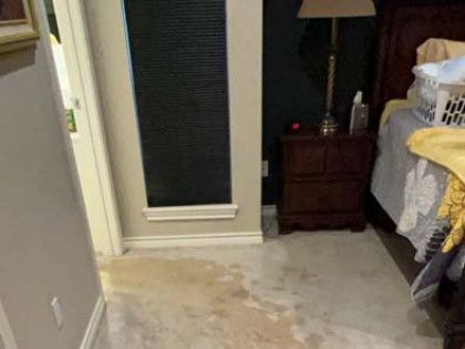 Stained carpet in a bedroom hallway, dark green wall with blinds, nightstand, and partially visible bed.