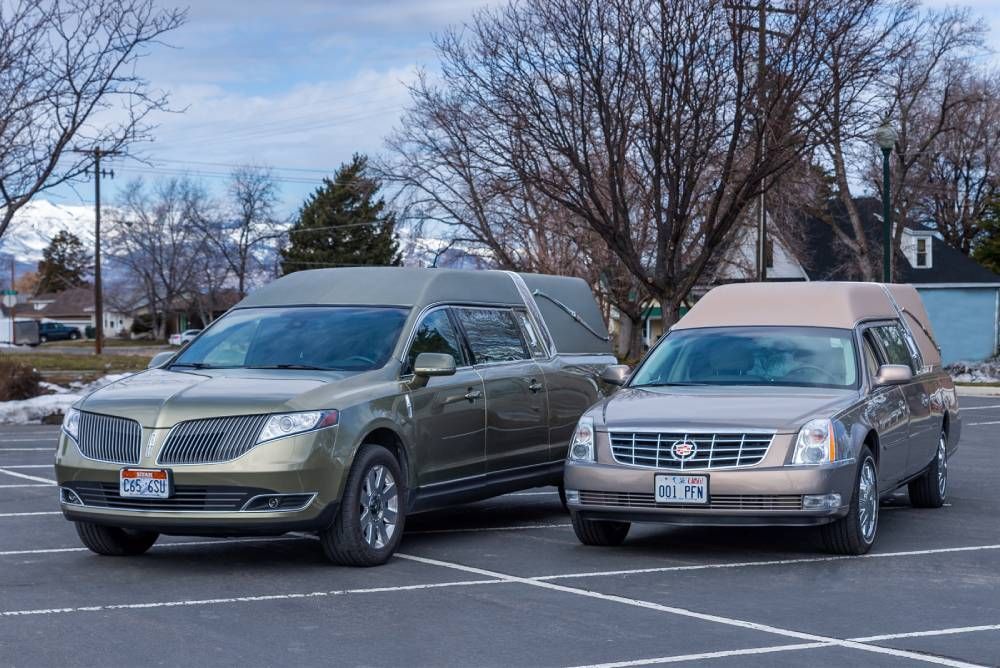 Two parked minivans, one green and one beige, in a winter parking lot
