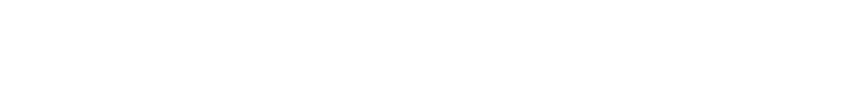 White horizontal rectangle with a thin gray border and a faint shadow on a light gray background.