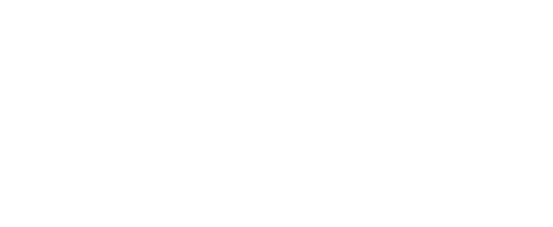 Shayne Law Group P.C. International Law Attorney Logo