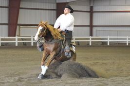 Equine Events