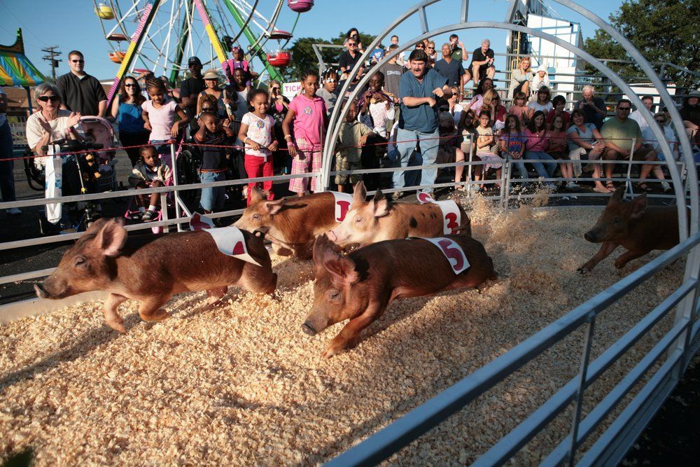 midland county fair tickets