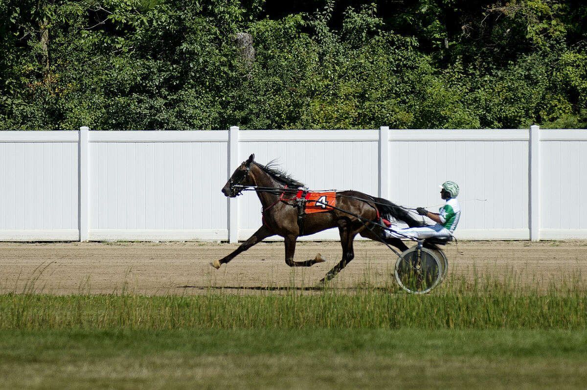 A horse and jockey are racing on a track.