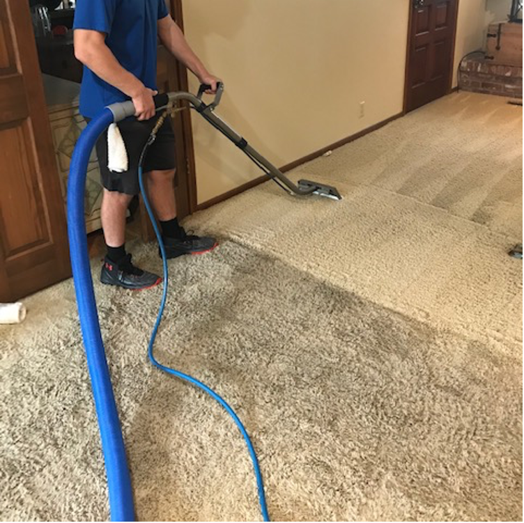 Burns Steam & Shine Carpet Cleaning Hutchinson, KS
