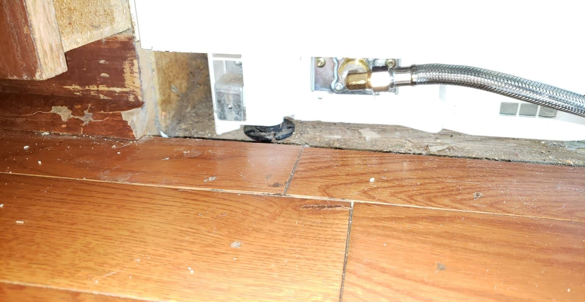 Wooden floor with damaged wood trim, flexible water line, and a small black object.