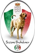 Sezione