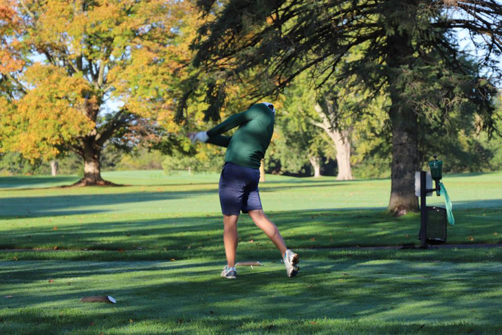 Golfer in green shirt swinging a club on a sunny golf course with trees and grass