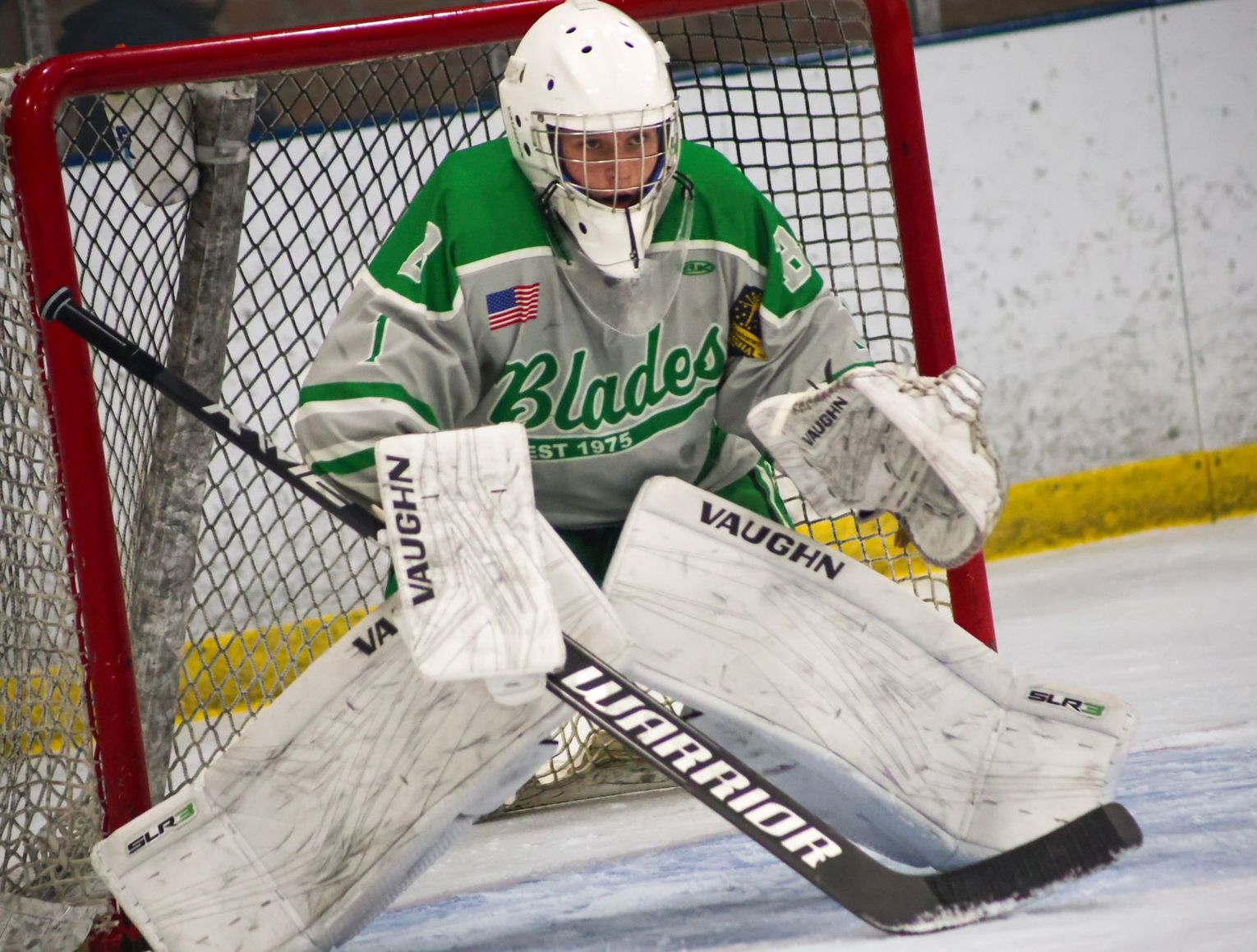 Ice hockey goalie in white and green gear crouching in front of the net during a game