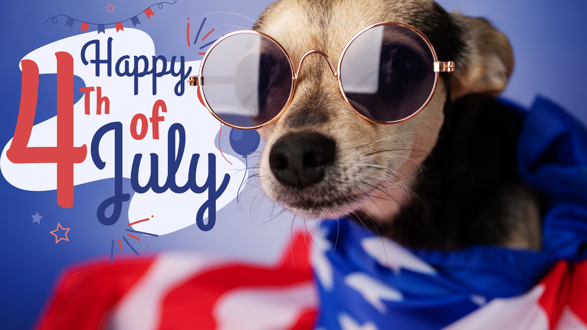 Dog wearing sunglasses wrapped in an American flag celebrating Independence Day Happy 4th of July