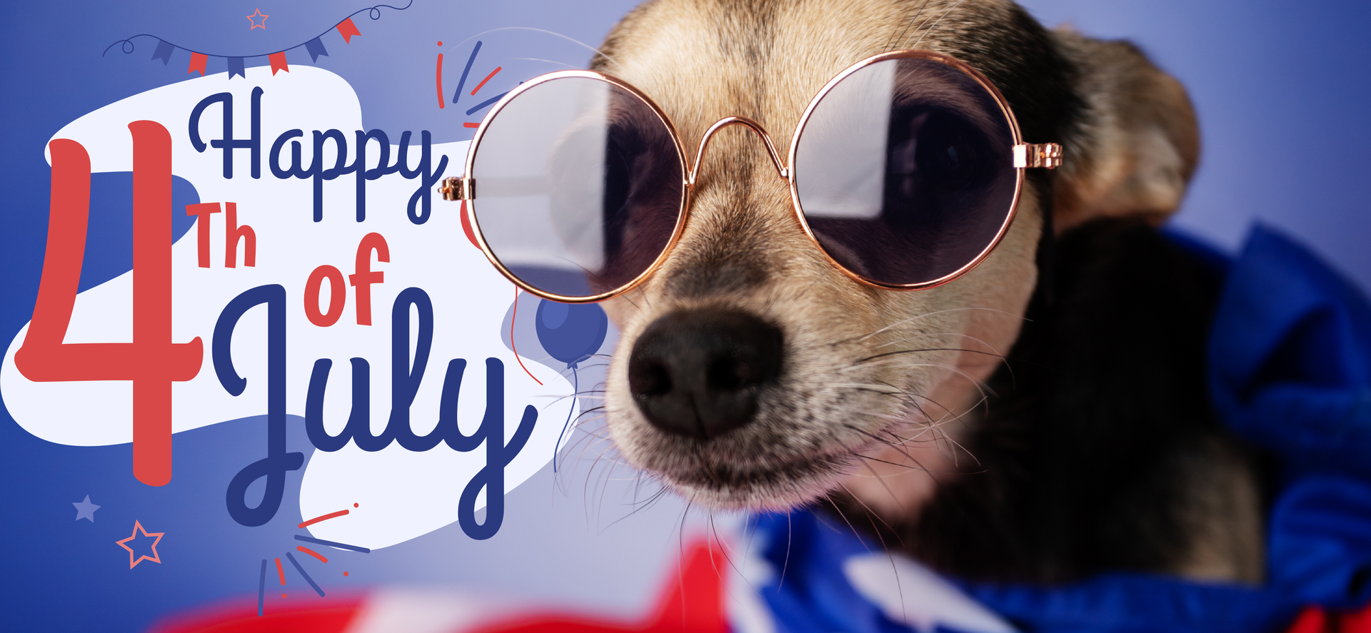 Dog wearing sunglasses wrapped in an American flag celebrating Independence Day Happy 4th of July