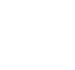 Vehicle icon | Precision Tire and Auto Center - AZ