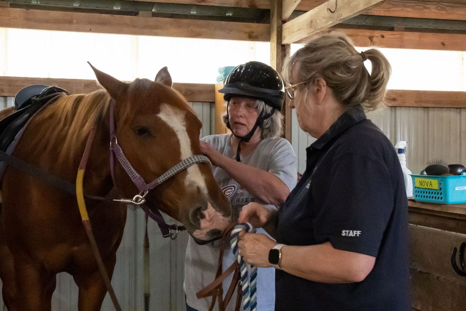 Person and horse in a stable while two people adjust the horse's halter