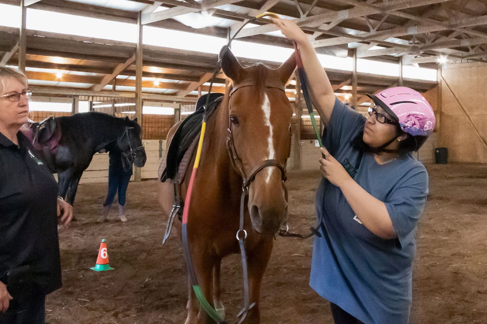 Person in pink helmet grooming a brown horse inside a barn while another horse stands nearby