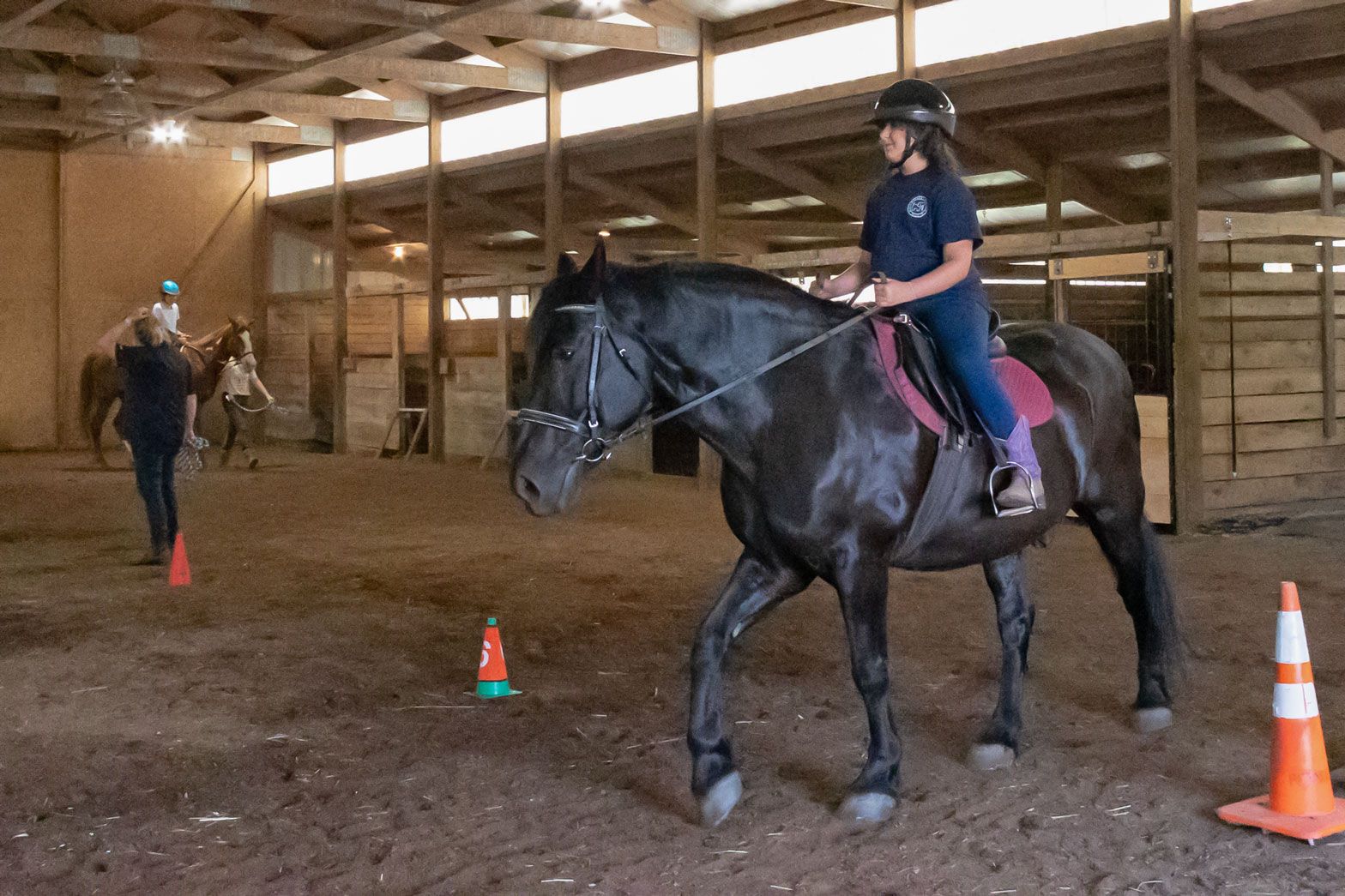 Rider on a black horse in an indoor arena, with cones and another rider in the background.