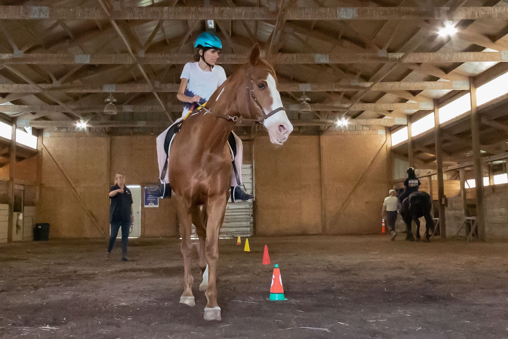 Child riding a brown horse indoors, with cones marking a training course.