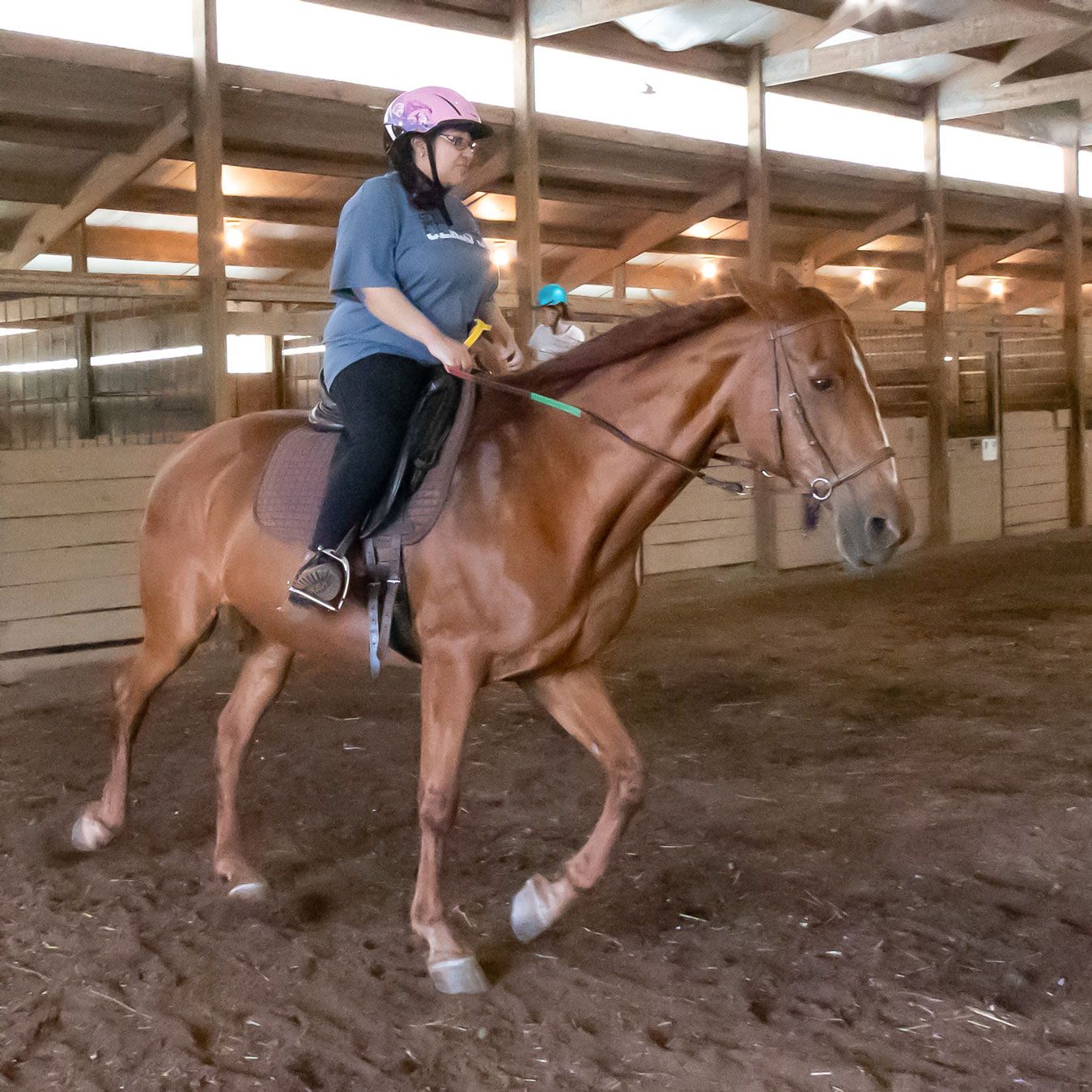 Rider in pink helmet riding a chestnut horse inside an indoor arena
