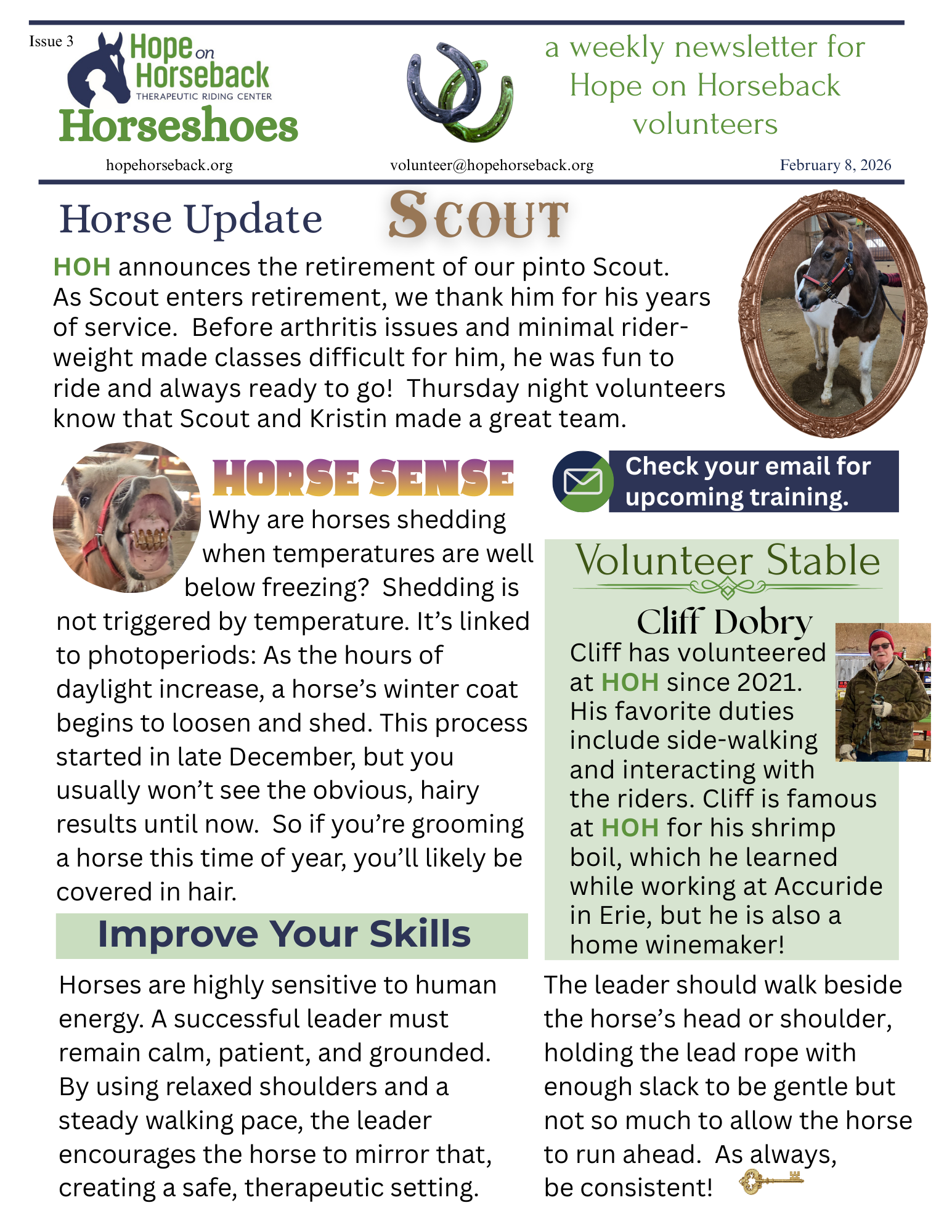 Horse update newsletter page with horse photos, tips, and articles in green and brown sections