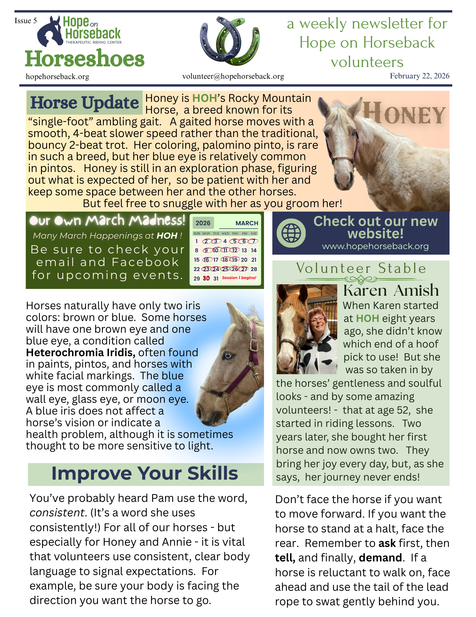 Veterans Horse Care newsletter page with horse photos, tips, and green text boxes about horses and honey