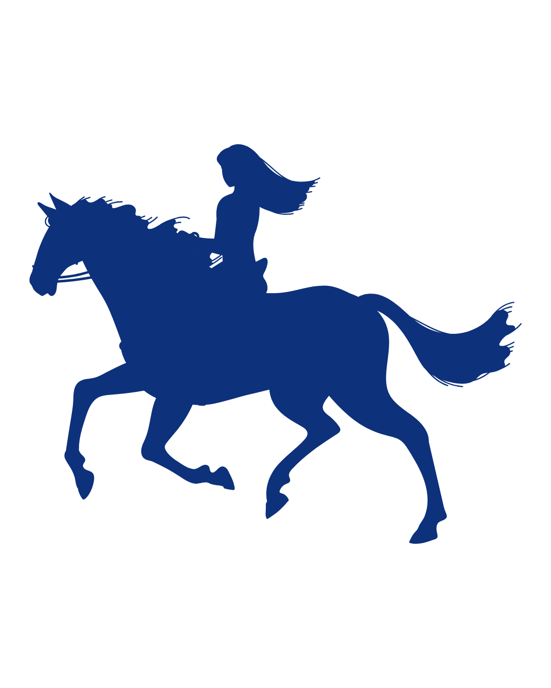 Blue silhouette of a horse and rider galloping, the rider holding a flowing scarf or banner.