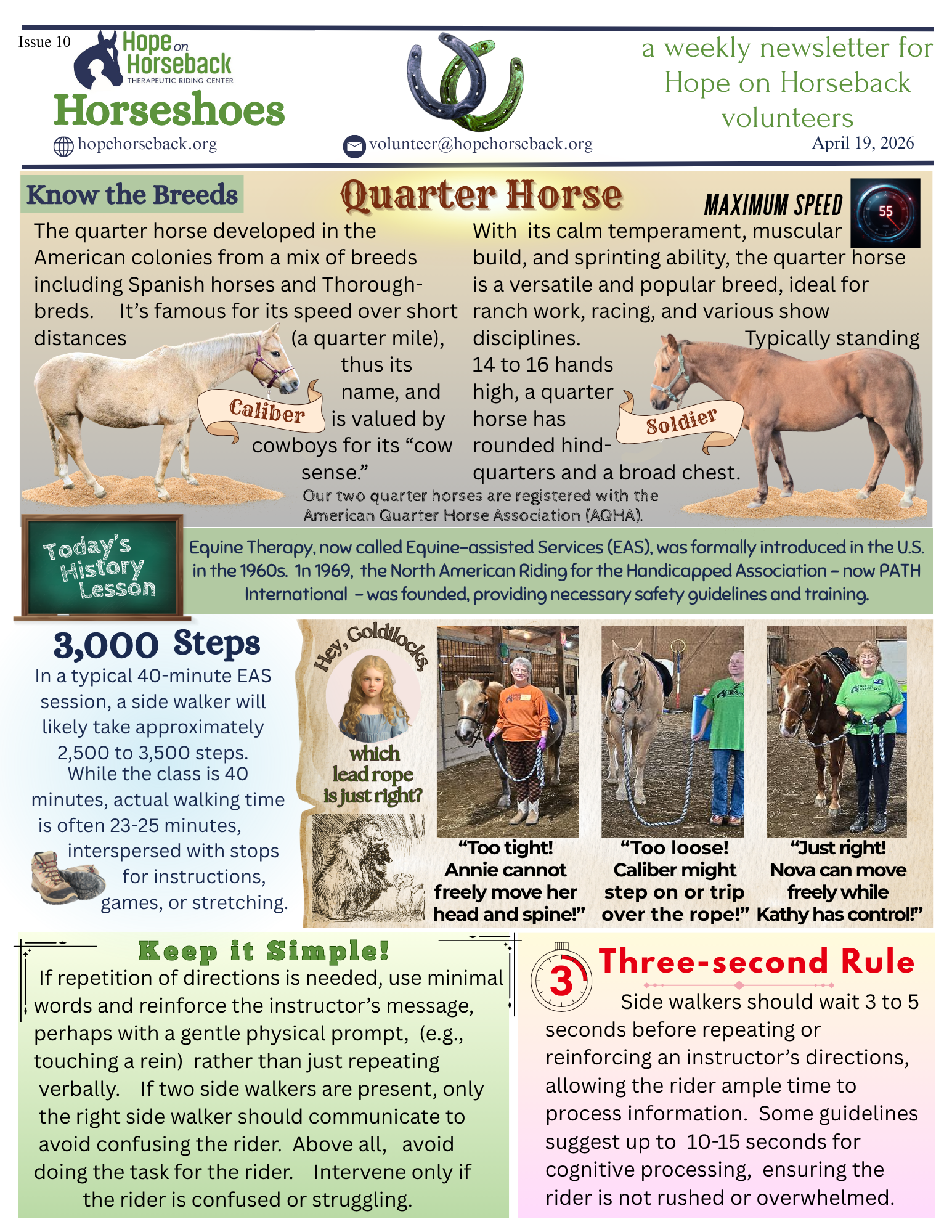 Horsecare infographic about quarter horses, with tips on care, 8,000 steps, and the three-second rule.
