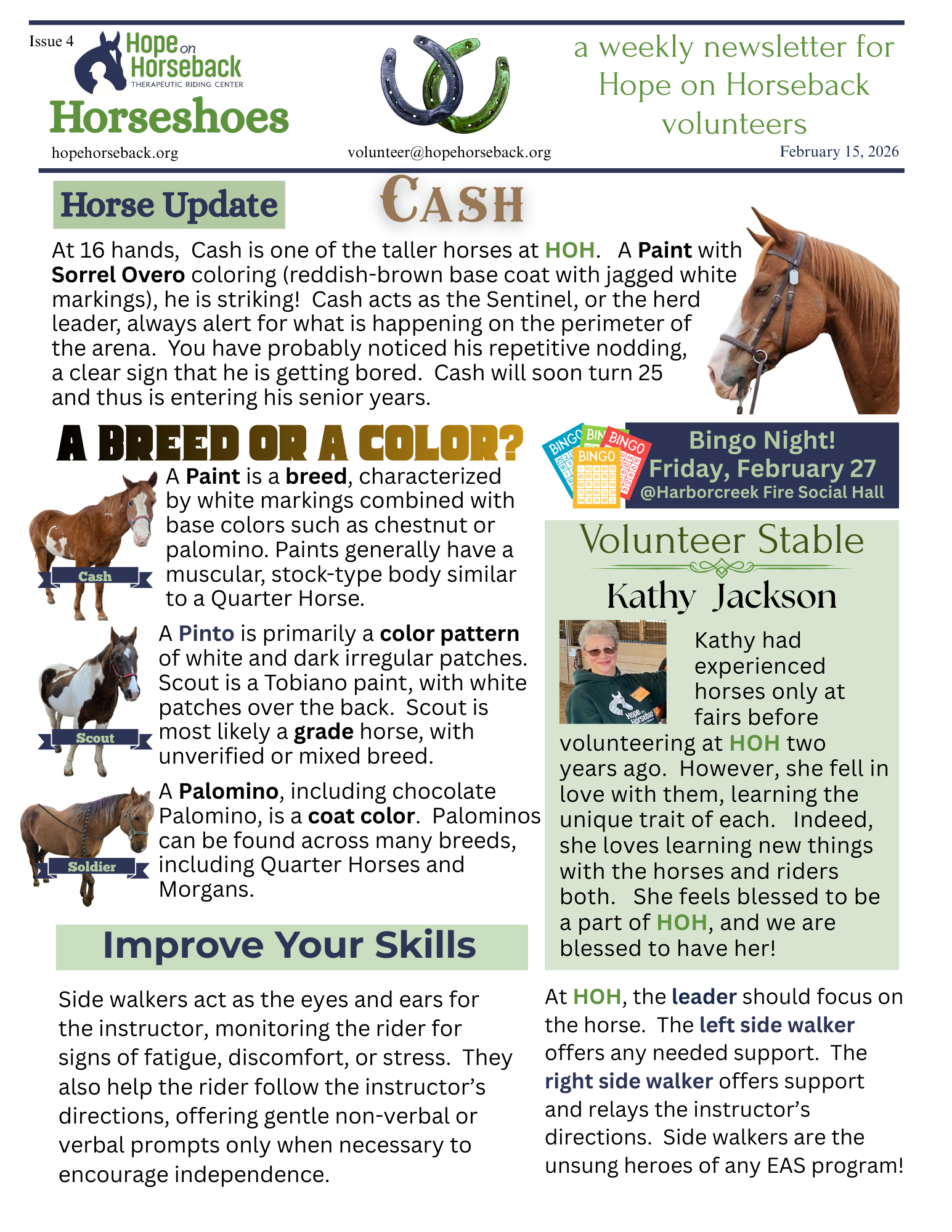 Horse newsletter page with horse photos, a 
