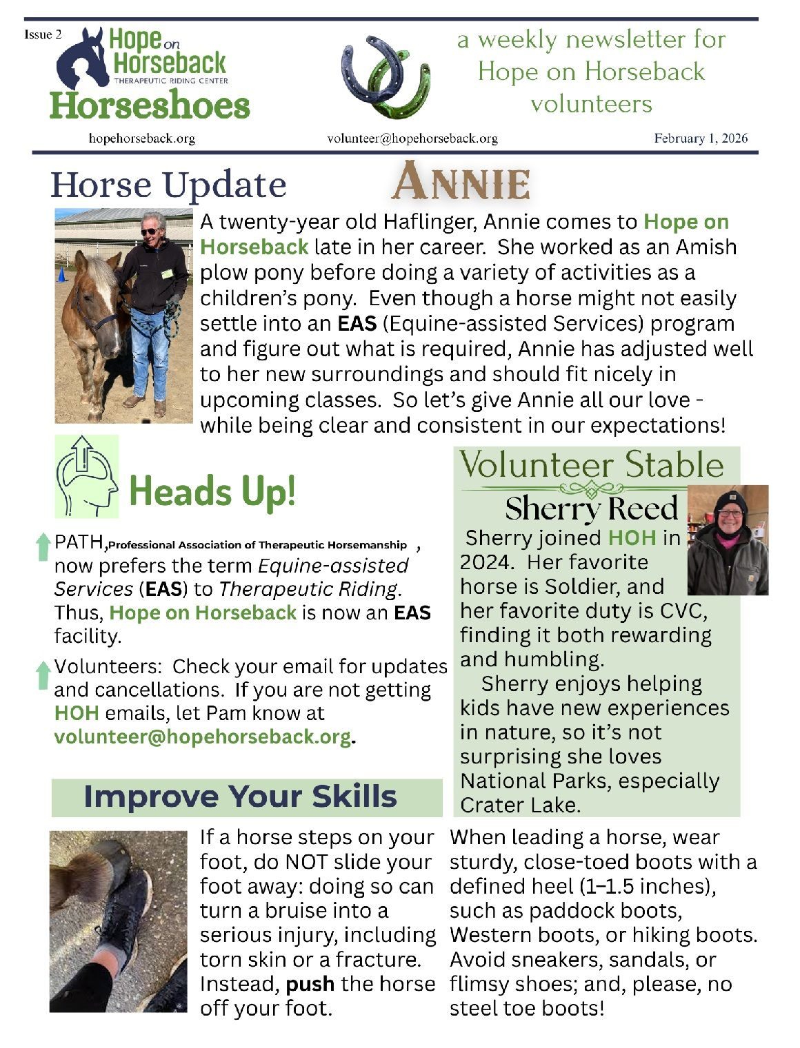 Horse update flyer with four sections: Heads Up, Improve Your Skills, Volunteer Stable, and Annie.