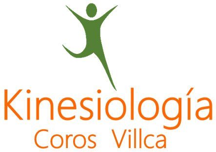 Sociedad Coros Villca Ltda